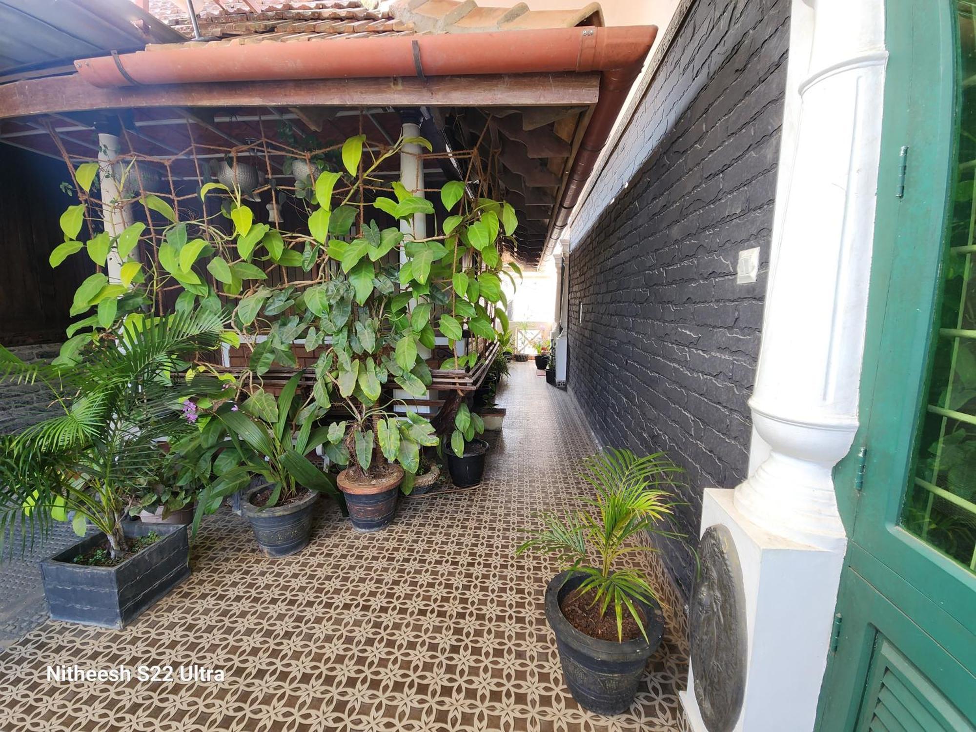 Kairali Palace Home Stay 提喀迪 外观 照片